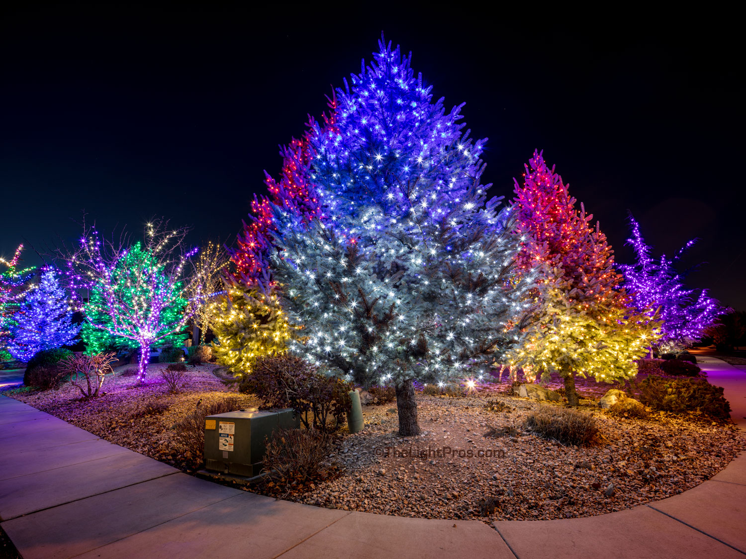 Christmas Tree Lighting The Light Pros