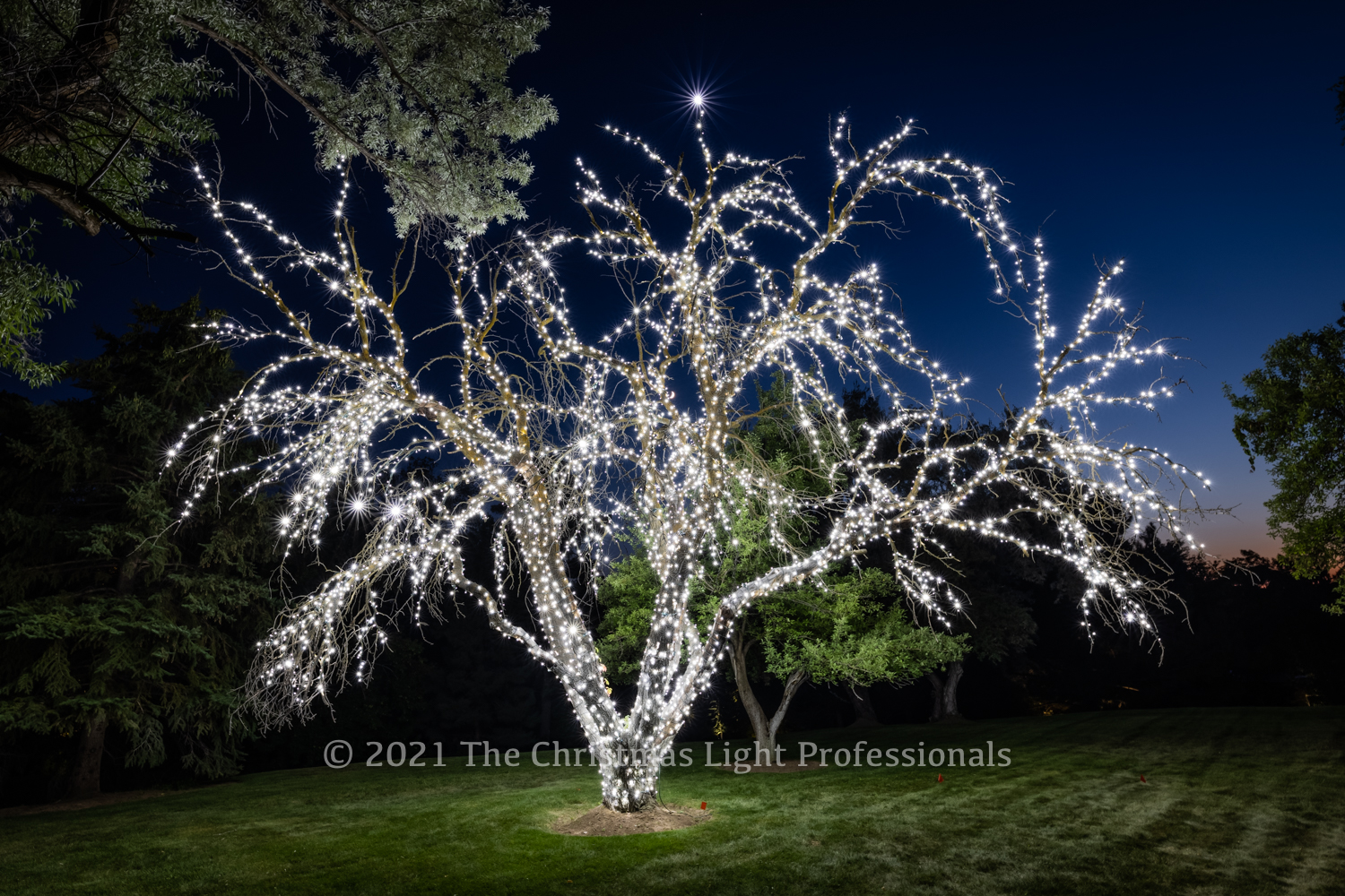 Christmas Light Installation Displays & Examples The Light Pros