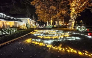 energy-efficient Christmas lights