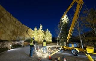 The Christmas Light Professionals - Local Lighting Company
